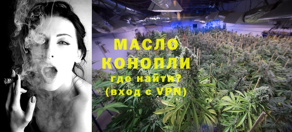 дмт Мегион