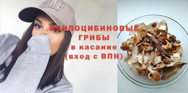 дмт Мегион