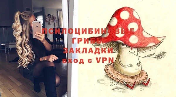 дмт Мегион